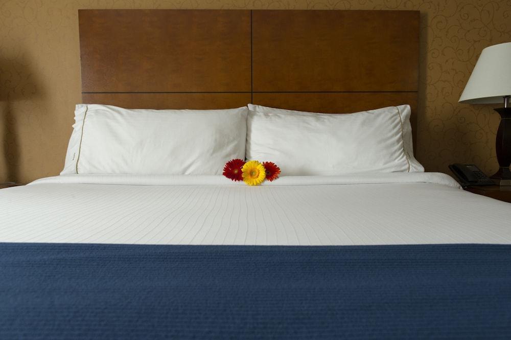 Sandman Hotel & Suites London Downtown エクステリア 写真